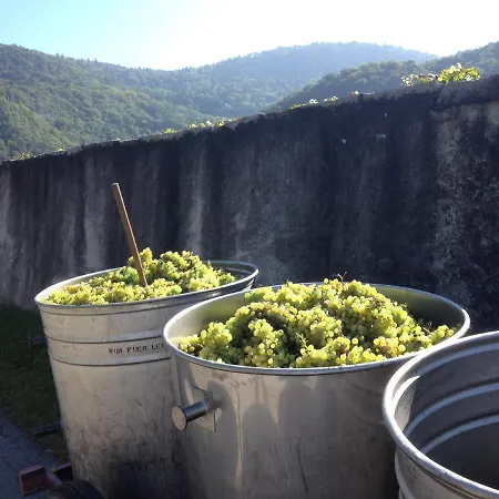 Voor Wandel Of In Portes Du Soleil *