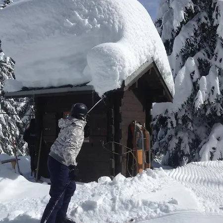 Apartment Heerlijke Wandel Of Ski Vakantie In Torgon Portes Du Soleil *
