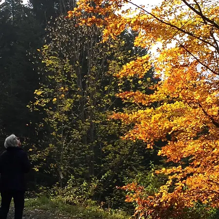 Voor Rustzoeker In Wandel- En Gebied Wallis Апартаменты Torgon