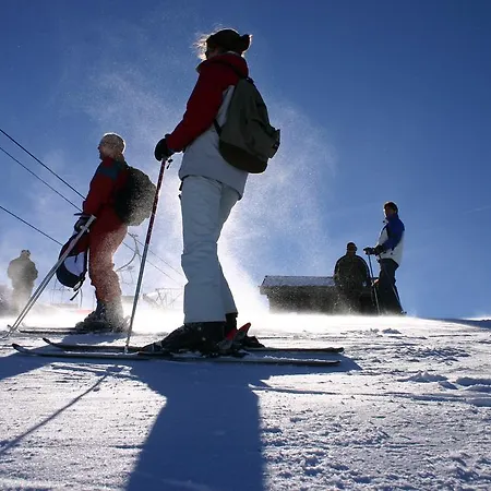 Apartment Appartement Voor Rustzoeker In Wandel- En Ski Gebied Wallis *