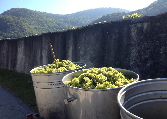 Appartement Voor Rustzoeker In Wandel- En Ski Gebied Wallis *