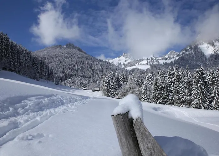 Appartement Voor Rustzoeker In Wandel- En Ski Gebied Wallis * Torgon