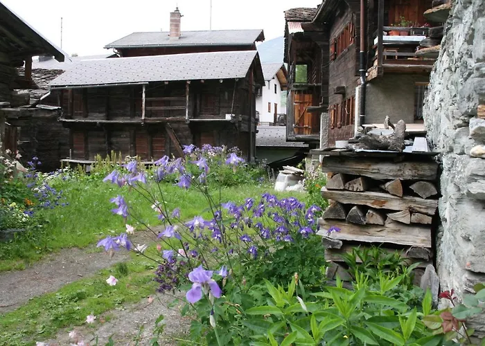 Appartement Voor Rustzoeker In Wandel- En Ski Gebied Wallis Apartment