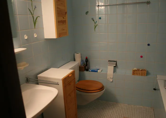 Appartement Voor Rustzoeker In Wandel- En Ski Gebied Wallis Apartment *