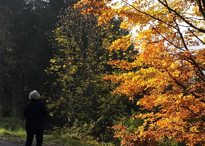 Voor Rustzoeker In Wandel- En Gebied Wallis Апартаменты Torgon